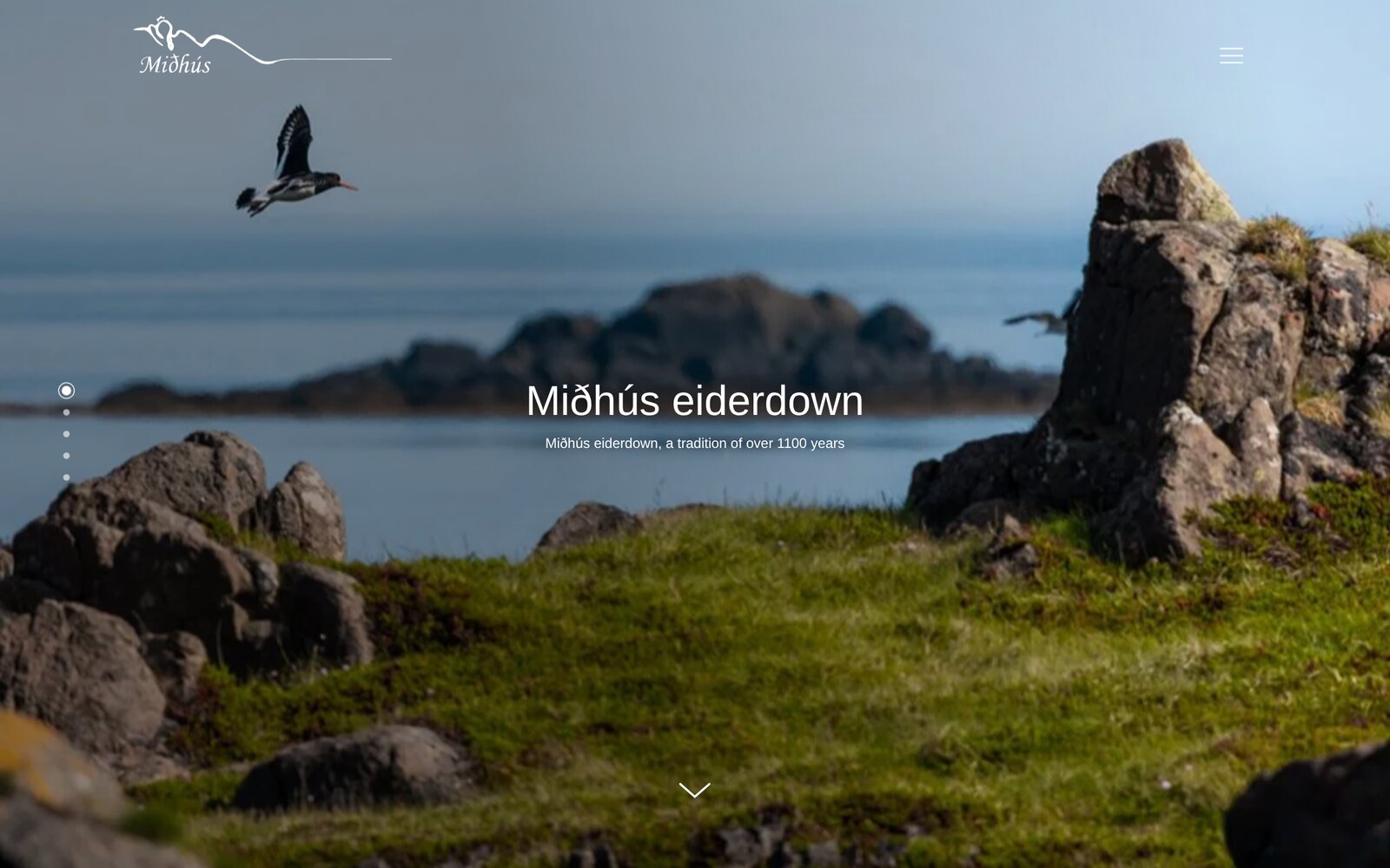Eider Down — website by iweb.eu