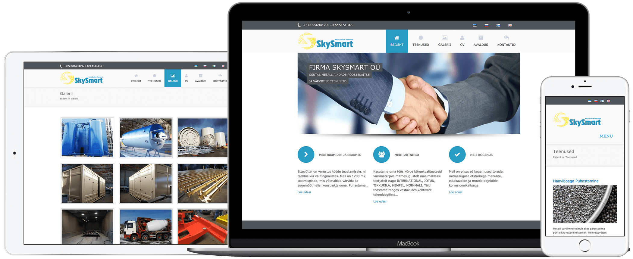 iWeb web design for SkySmart, experts in construction painting